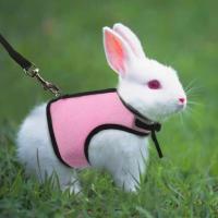 Correa de Malla Suave para Mascotas Pequeñas Conjunto de Correa y Correas para Conejos, Hamsteres, Cobayas Suministros para Mascotas - details 6