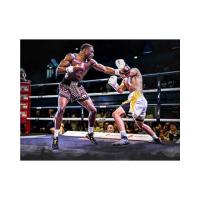 Dos boxeadores en un ring, uno golpeando al otro, usando guantes de boxeo Venum.