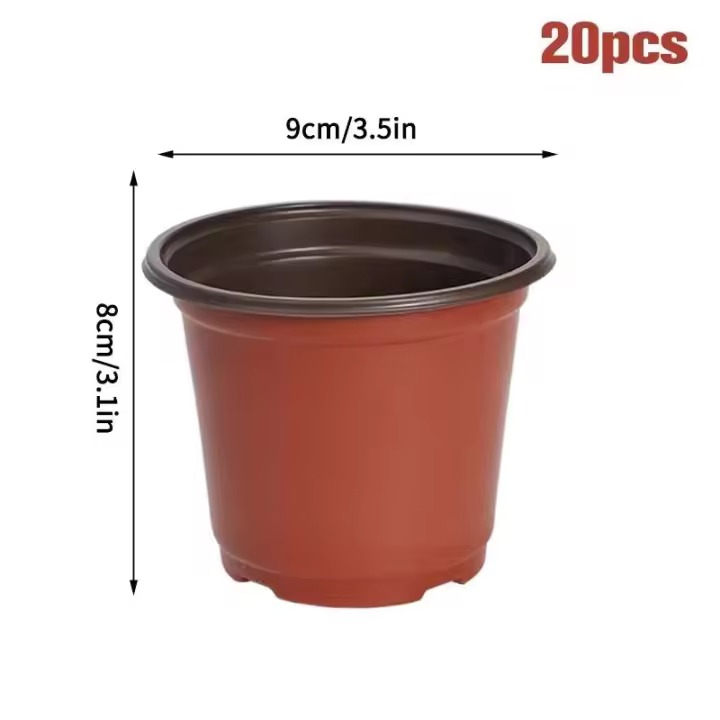 Semillas de plantación de plástico, cultivo de plantas pequeñas y jugosas, ETA gruesa para viveros, accesorios de jardín - 1