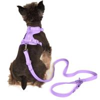 Arnés tipo chaleco para perro de Color caramelo, arnés reflectante transpirable para Chihuahua, correa de pecho para perro antirotura de PVC, para caminar al aire libre - details 2