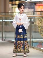 Hanfu para niñas, estilo chino, disfraz Tang para niños con cara de caballo estilo Ming, falda de hada, primavera y otoño, antiguo para niñas - details 12