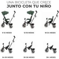 Triciclo Evolutivo Bicicleta sin Pedales para Niños Plegable con Accesorios 9 Meses a 25kg Verde - details 1