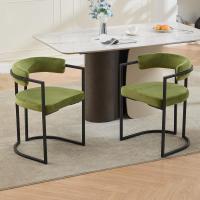 2 Sillas de Cocina con Reposabrazos, Sillas de Salón Modernas con Patas Metálicas Sillas de Descanso Simples para Hogar/Restaurante - details 14