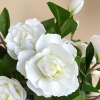 Ramas artificiales de Gardenia de tacto Real, flores de Gardenia de simulación hechas a mano de plástico, flores falsas exquisitas realistas - details 1