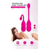 Embalaje privado SEXY Vibrador de huevo vibrador Juguetes sexuales para pareja Control remoto inalámbrico Bola vaginal Punto G Estimulación del clítoris Productos para adultos - details 0