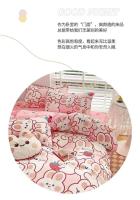 Juego de Ropa de Cama con Encaje Rosa INS de Tamaño Twin Queen King para Niñas y Adultos con Sábanas Florales y Funda de Almohada de Poliéster - details 2
