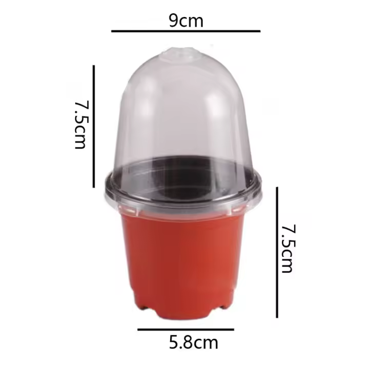 Maceta transparente de plástico para plantas de vivero, contenedor de plantación suave, tazas, agujeros de drenaje, plantador Flexible para trasplantar, 5 piezas - 1