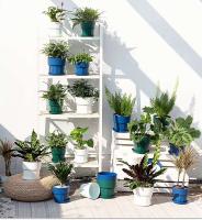 Maceta de plástico para interiores, maceta para plantas jugosas - details 4