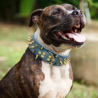 Collar de cuero con tachuelas y pinchos para Perro, Collar de Bulldog Pitbull, medianos y grandes para perros bóxer, Pastor Alemán - details 11