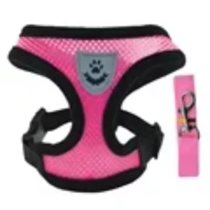 Arnés para perros, correa para caminar para perros pequeños, Collar de poliéster, malla ajustable, arnés para cachorros y gatos, chaleco para accesorios medianos para mascotas - 1