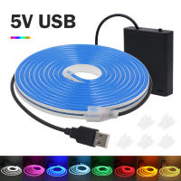 Tira de neón alimentada por batería 5V 2835 120Leds/M cuerda de cinta Flexible señal de luz de neón LED decoración DIY para el hogar blanco/azul/rosa/amarillo - details 0