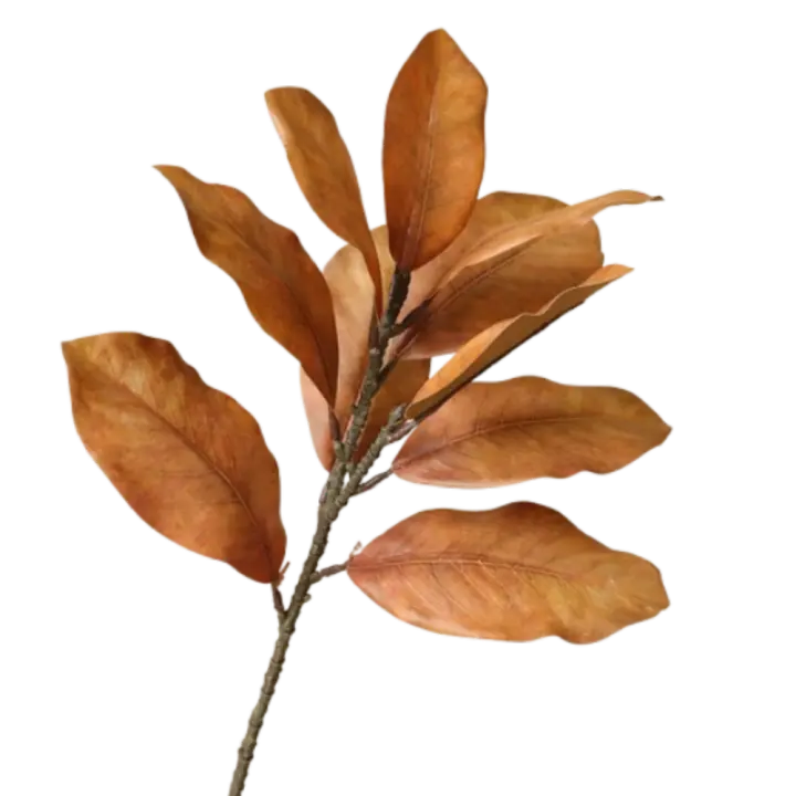 Rama de hojas de Magnolia Artificial de 57cm, arte Floral realista, planta de Magnolia falsa, tacto Real, plantas verdes simuladas hechas a mano - 1