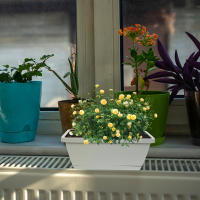 METRO rectangular de plástico flores verduras, ventanas CA con bandejas de té para uso interior y exterior, 4 piezas - details 5