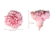 8 Gradiente Flores de hoja perenne Claveles Exquisita caja de regalo Madre Noel Día de San Valentín Día de la Mujer Regalos para - details 1