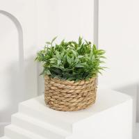 Plantas Artificiales de Eucalipto Pila de Césped Tejida de 11cm Material PE Decoración del Hogar - details 14