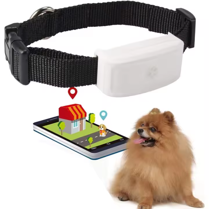 Localizador GPS para Perros y Gatos en Tiempo Real, Pequeño, con registro de Ruta, Dispositivo de Alarma Impermeable con aplicación - 1