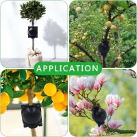 Fabricante de varilla de crecimiento de árbol de matrimonio de raíz, kit de propagación en capas de aire, bola de enraizamiento de plantas - details 4