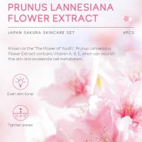 Sakura Skin Care Set 6 piezas Crema facial Suero Limpiador exfoliante Protector solar - details 15