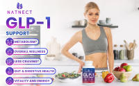GLP-1 Supplement Support