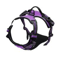 Arnés de collares para perros, chalecos grandes, correa, tienda de mascotas, todo para perros, accesorios de cuero para cachorros, conjunto mediano y pequeño - details 3
