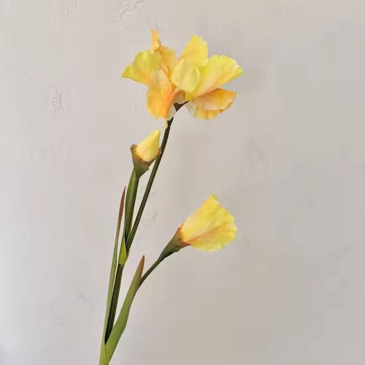 Rama de flor de Iris Artificial de 80cm, accesorios de fotografía, pintura al óleo Floral de imitación multiescena, accesorios DIY - 1