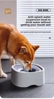 Bol para Mascotas Flotante Dispensador de Agua No Húmedo para Perros Suministros para Mascotas - details 0