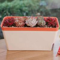 Planta de riego automático floral moderna y elegante rectangular de doble capa para interiores ETA, hidropónica ETA - details 10