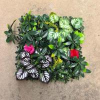 Panel de pared de plantas artificiales DIY, vida eterna, protección UV, alfombra de eucalipto Artificial, duradera y realista - details 27