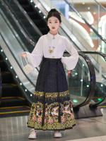 Hanfu para niñas, estilo chino, disfraz Tang para niños con cara de caballo estilo Ming, falda de hada, primavera y otoño, antiguo para niñas - details 2