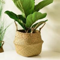 Cestas de almacenamiento Naturales de algas marinas, maceta de flores de estilo nórdico, cesta de plantas, bolsa de cultivo tejida de paja, maceta colgante, decoración del hogar - details 9