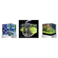 Amtra Nanoscaping Liter Acuario de Vidrio Extra Claro 35 28 x 30 cm - Tanque para Peces de Oro o Tortugas Acuáticas con Alfombra de Cojín. - details 1