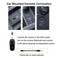 Sistema Portátil Inalámbrico UHF, receptor Bluetooth, reverberación profesional para el hogar, bajos altos y bajos - details 5