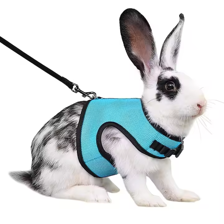 Chaleco elegante y transpirable de varios colores, bolsa portamascotas pequeña, arnés suave ajustable y correa elástica para conejos - 1