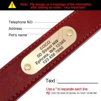 Collar cuero personalizado mascota collares suaves perro etiqueta de identificación grabada para perros grandes Pitubull Pastor - details 0