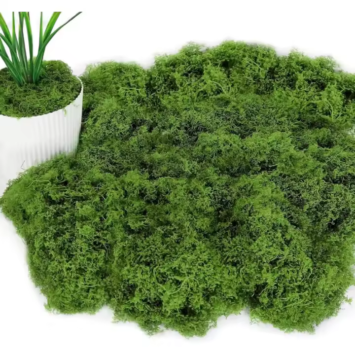 Decoración de Musgo Artificial 100g Musgo Conservado Natural Ideal para Manualidades - 1
