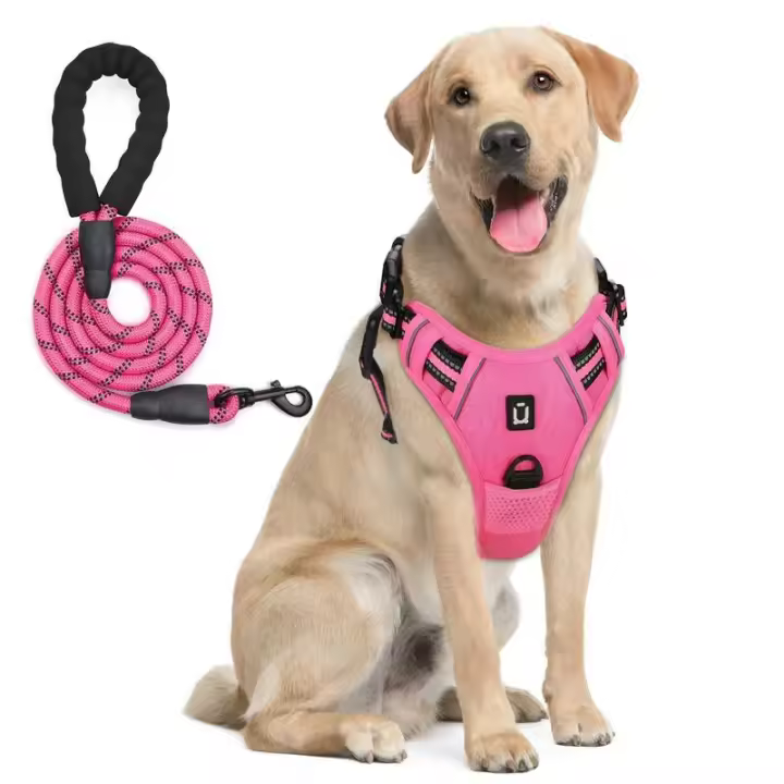 Combo de perro y correa, arnés de chaleco no extensible a prueba de escape, con correa de 5 pies, arnés acolchado suave estable reflectante para mascotas - 1