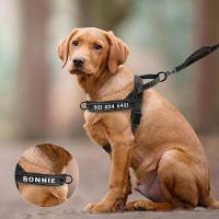 Arnés de nailon personalizado para perros, chaleco reflectante sin lágrimas para perros medianos y grandes, suministros de entrenamiento para pastor alemán - details 11