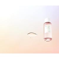 poremizing toner