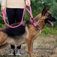 Perro táctico militar duradero, conjunto correa elástica, Collar entrenamiento caminar de nailon para mascotas, Perros medianos - details 14