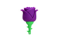 JASTER Drive USB Floral de 64GB Llavero de Memoria en rojo, azul, amarillo, rosa - details 6