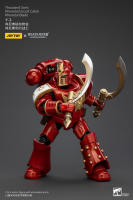 JOYTOY Figura de Acción Horus Heresy Legión de Mil Hijos del Tacticante MK IV - details 54