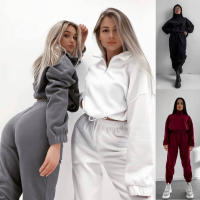 2025 primavera y otoño nueva ropa de mujer moda casual suelta cremallera cuello alto suéter conjunto de dos piezas. - details 1