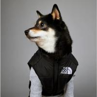 Chubasquero cálido de invierno para perros grandes, ropa de algodón para mascotas, abrigo a prueba de viento y lluvia - details 16