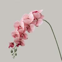 9 ramas artificiales de Phalaenopsis de cabeza, flor de orquídeas de mariposa Artificial hecha a mano realista, flores falsas de tacto Real - details 24