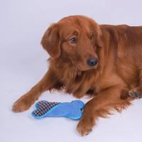 Juguetes de Peluche de Huesos Chirriantes Adecuado para Perros Pequeños, Medianos y Grandes - details 5
