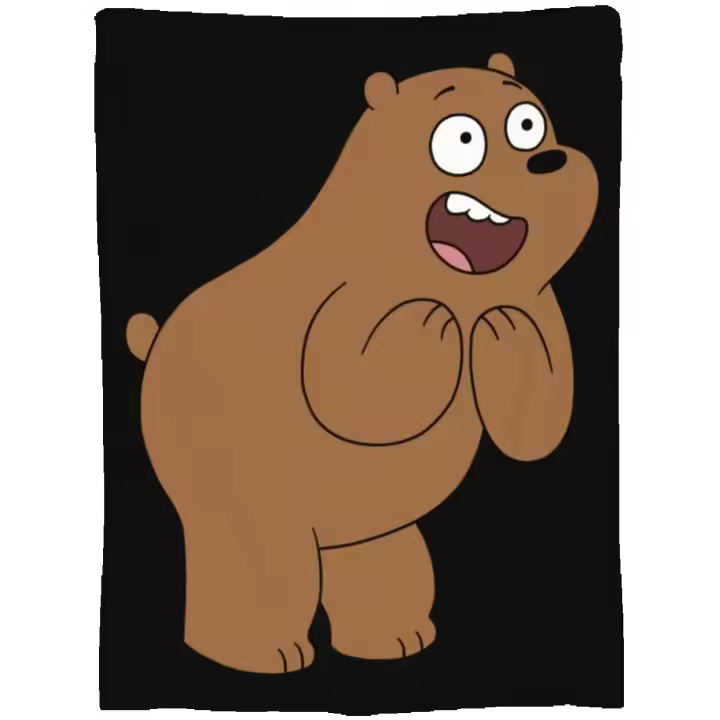 We and Bare and Bears manta cálida para sofá, regalo decorativo, decoración del hogar - 1