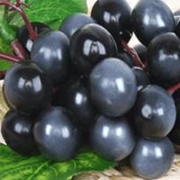 Uvas Artificiales