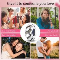 Encanto de Cuentas de Plata de Ley S925 100% Originales para Mujer Joyería DIY Material Principal de Zirconio Pulsera Ajuste de 3mm - details 45