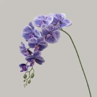 9 ramas artificiales de Phalaenopsis de cabeza, flor de orquídeas de mariposa Artificial hecha a mano realista, flores falsas de tacto Real - details 20