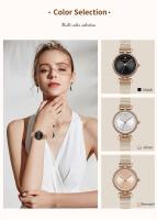 Premium lujo 2025 nuevo reloj de mujer marca superior ocio moda 29mm Mini esfera correa de malla de acero inoxidable nórdico Simple 3Bar relojes impermeables - details 4